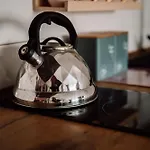 Camila Apartman *