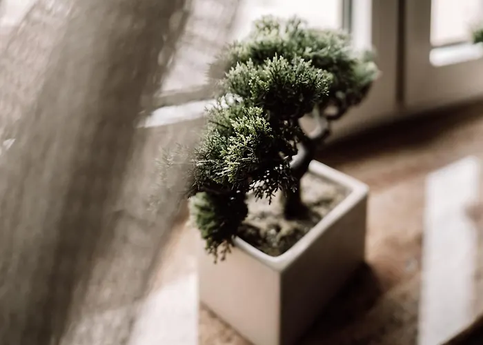 شقة Apartamenty Camila ريوا